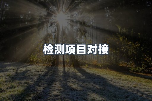 检测项目对接
