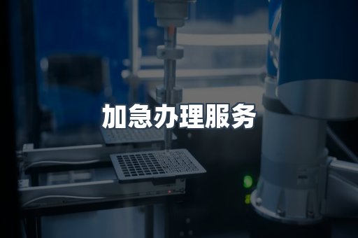 加急办理服务